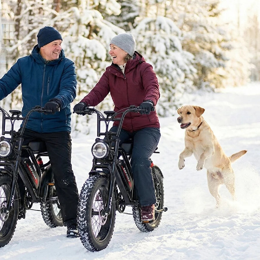 【Brand+】fat Tire Electric Bike Snow,2000w 20 Inches 48v Ebike,free Local Shipping Certified Ul2849 For Cycling Electric Bicycle