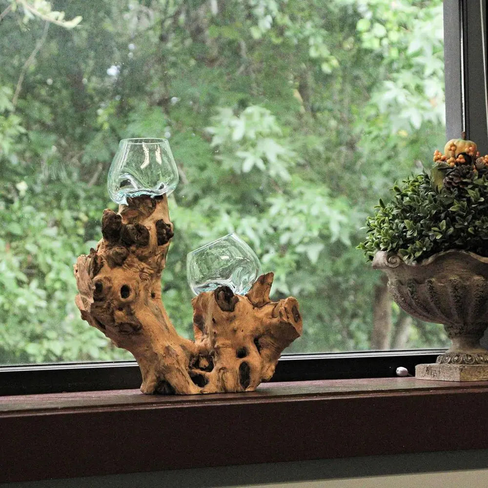 Glass On Root Wood Double Decorative Bowl Vase Plant Terrarium - Boho Style for Tabletops