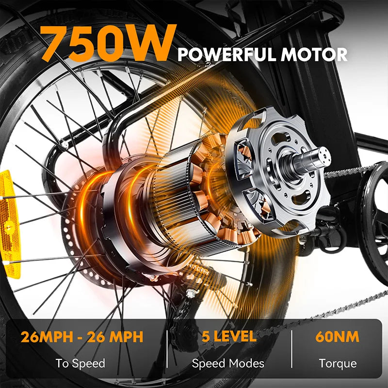 750W Electric Bike for Adults, Cargo Step, 48V 499.2wh Battery, 20" Fat Tire Electric Bicycle with Rear Rack,Hydraulic Disc Brak