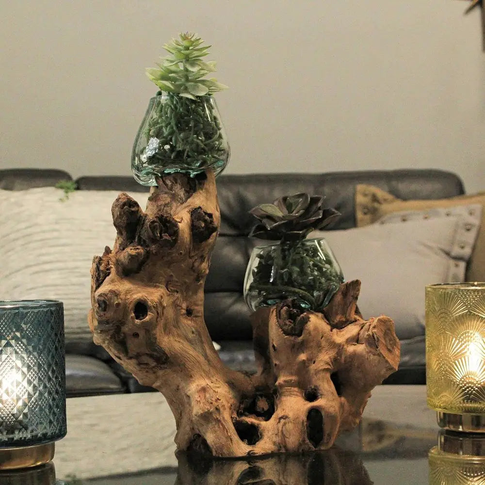 Glass On Root Wood Double Decorative Bowl Vase Plant Terrarium - Boho Style for Tabletops