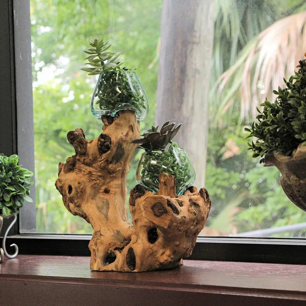 Glass On Root Wood Double Decorative Bowl Vase Plant Terrarium - Boho Style for Tabletops