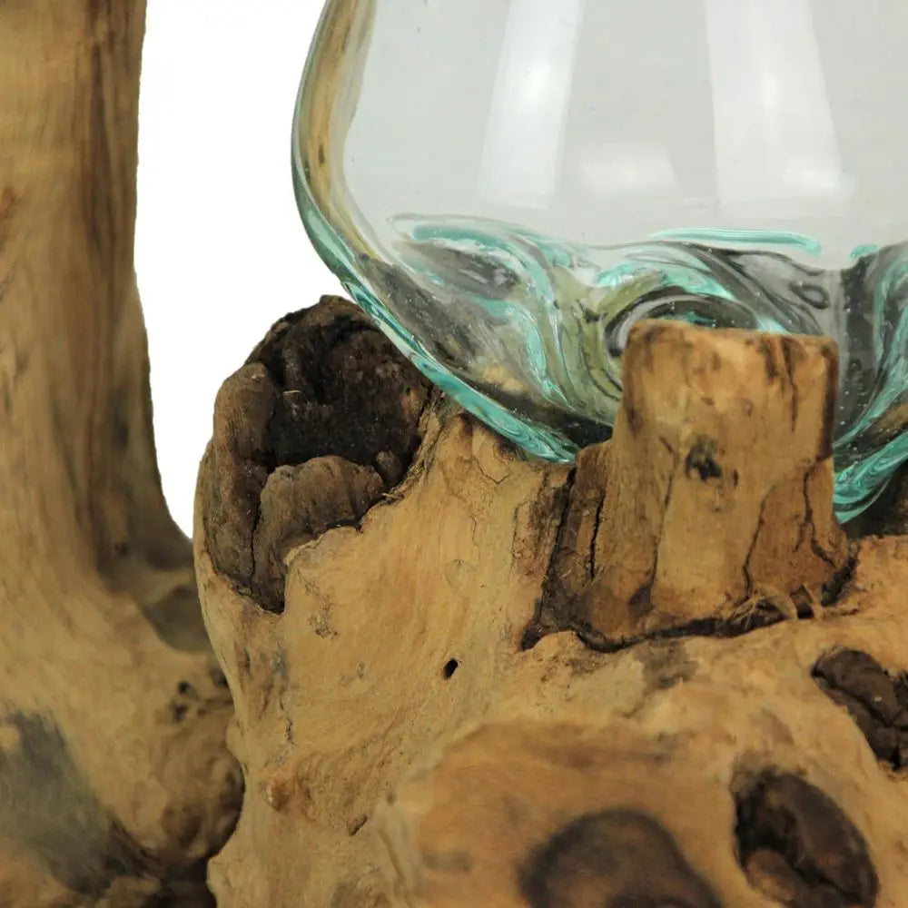 Glass On Root Wood Double Decorative Bowl Vase Plant Terrarium - Boho Style for Tabletops
