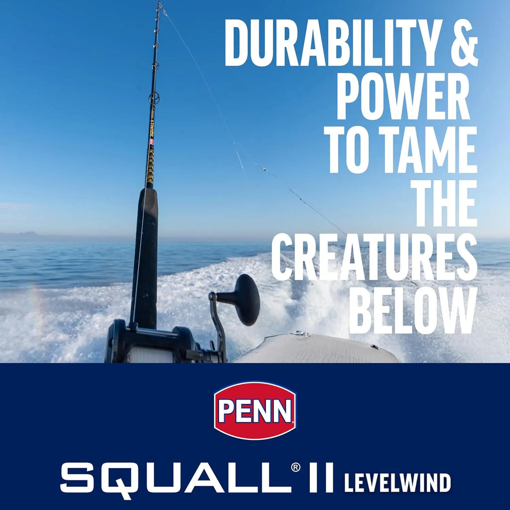 6'6" Saltwater Fishing Rod and Reel Combo, 1-Piece Design, Black/Gold Finish