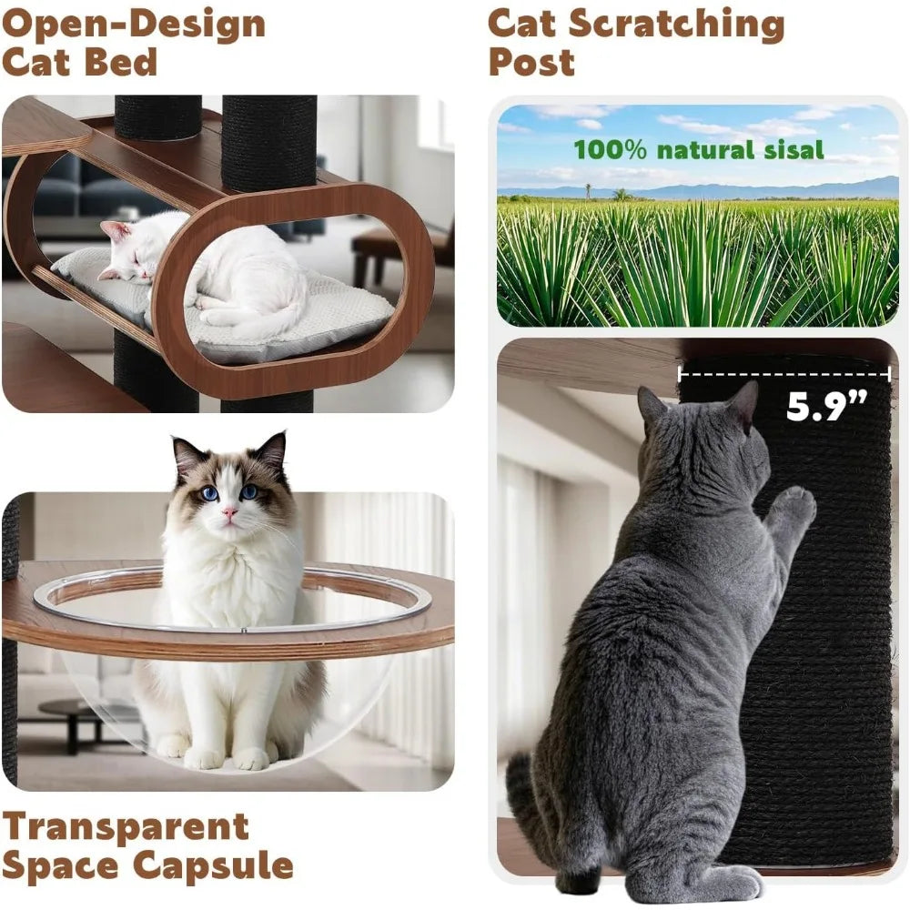 71'' Modern Black Cat Tree for Indoor, Tall Solid Wood Cat Tower for Home Decoration, Multi-Level Cat Tower with Transparent Bed
