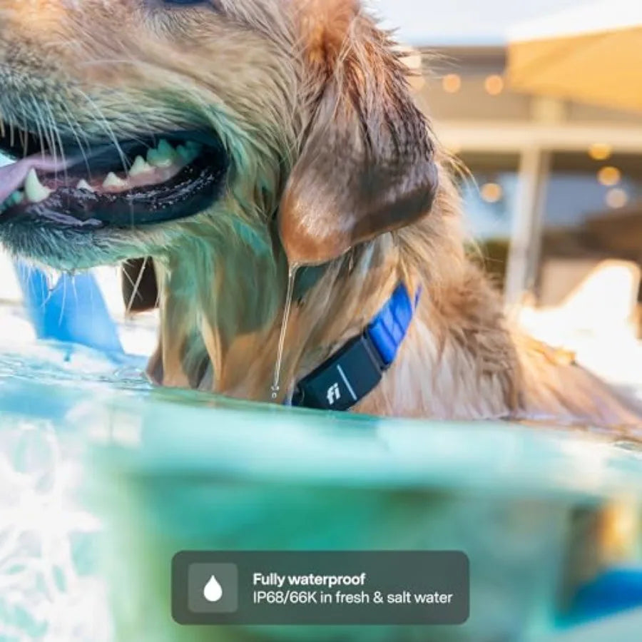 Smart Dog Tracker Collar for Small Dogs with GPS Health Monitoring Waterproof Blue Collar with 12-Month Membership Escape Alert