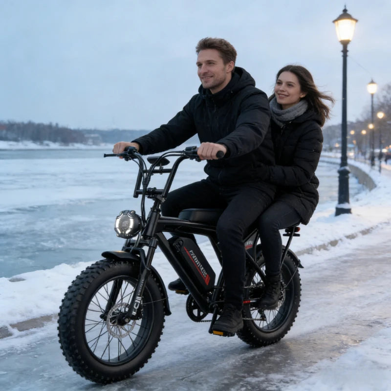 【Brand+】snow Electric Bicycle,2000w 20inches 48v Ebike,comes Mobile Phone Holder/lock,free Local Shipping For Electric Bike