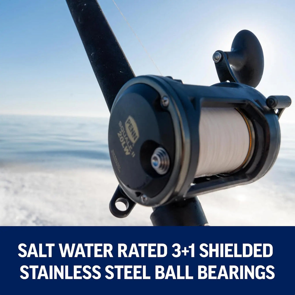 6'6" Saltwater Fishing Rod and Reel Combo, 1-Piece Design, Black/Gold Finish