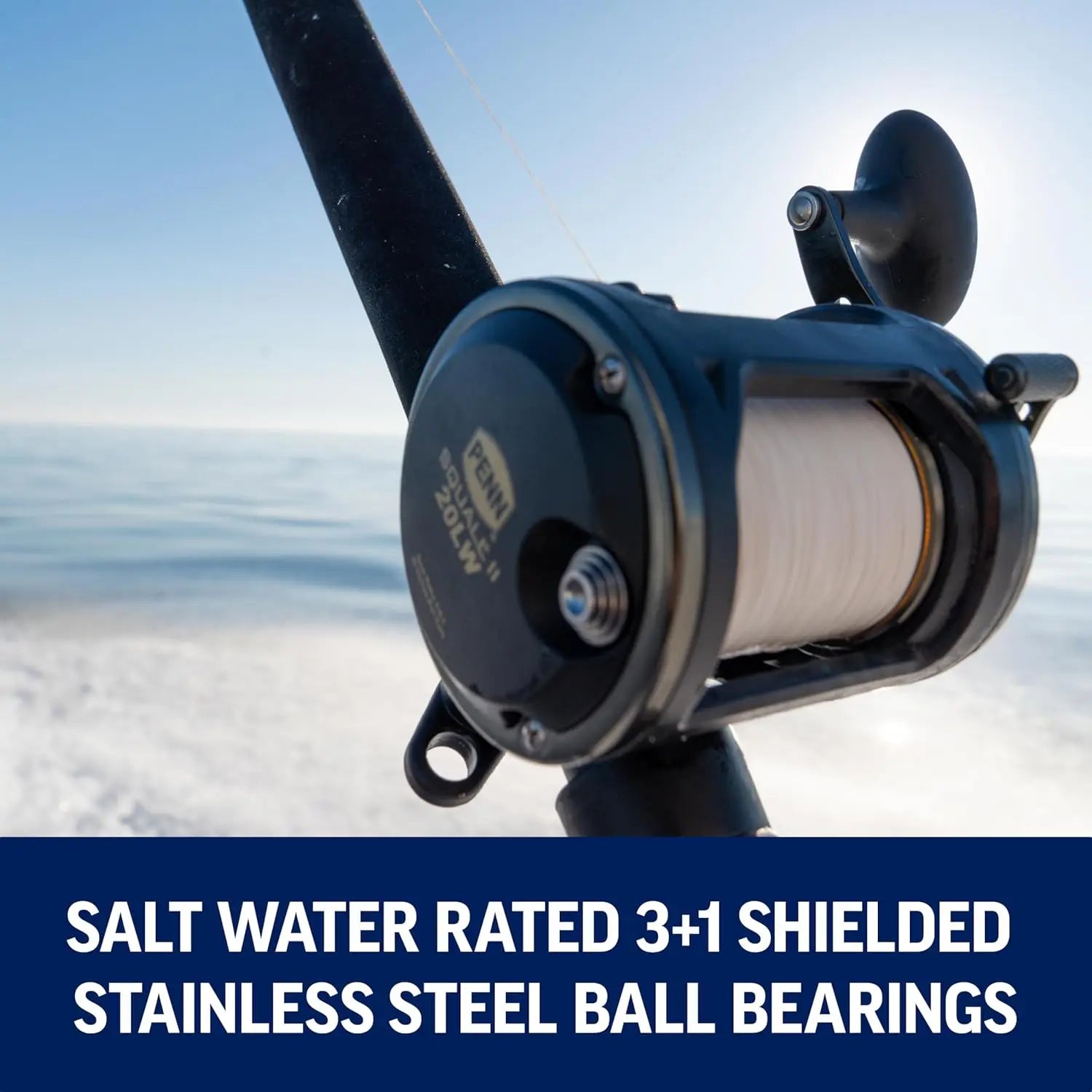 6'6" Saltwater Fishing Rod and Reel Combo, 1-Piece Design, Black/Gold Finish