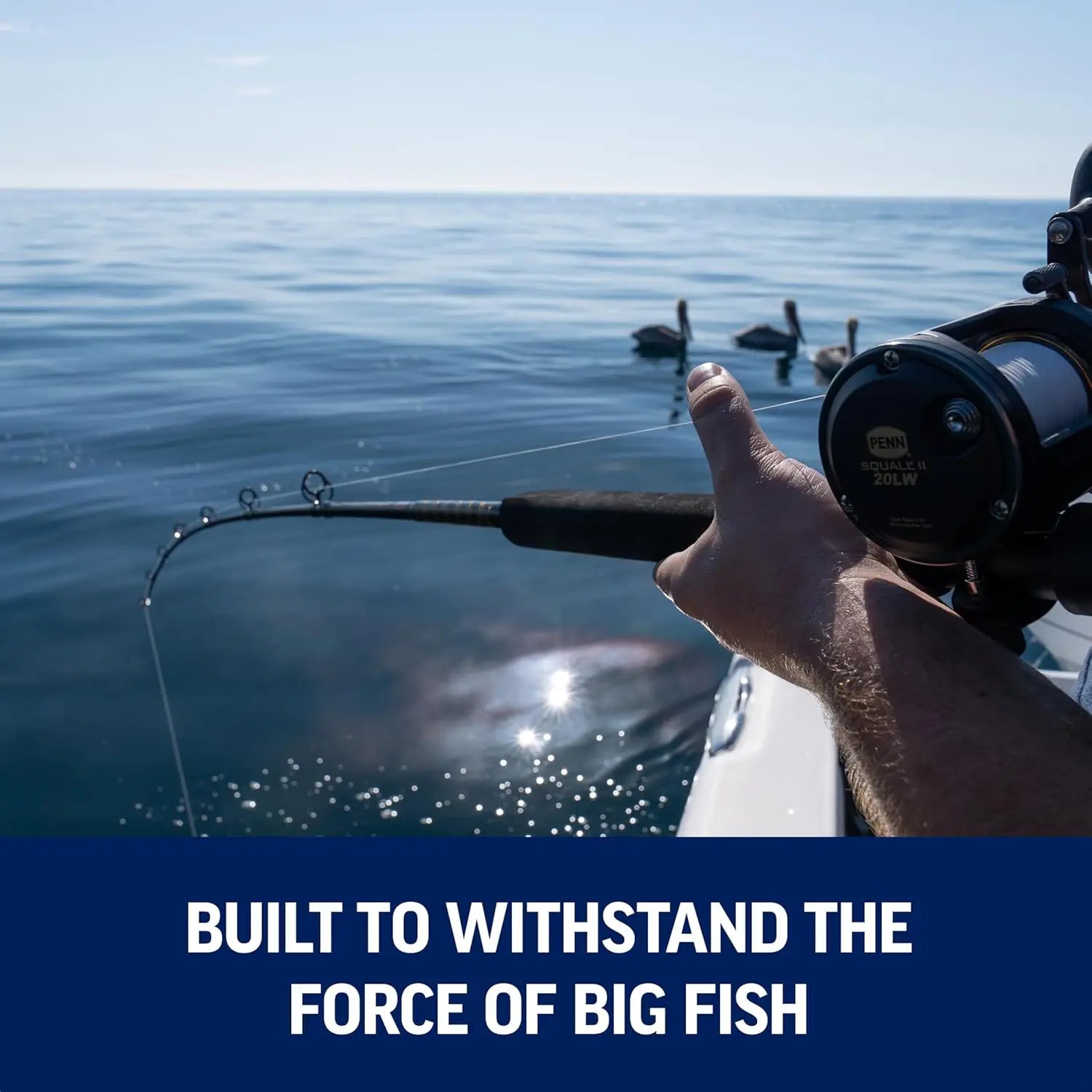 6'6" Saltwater Fishing Rod and Reel Combo, 1-Piece Design, Black/Gold Finish