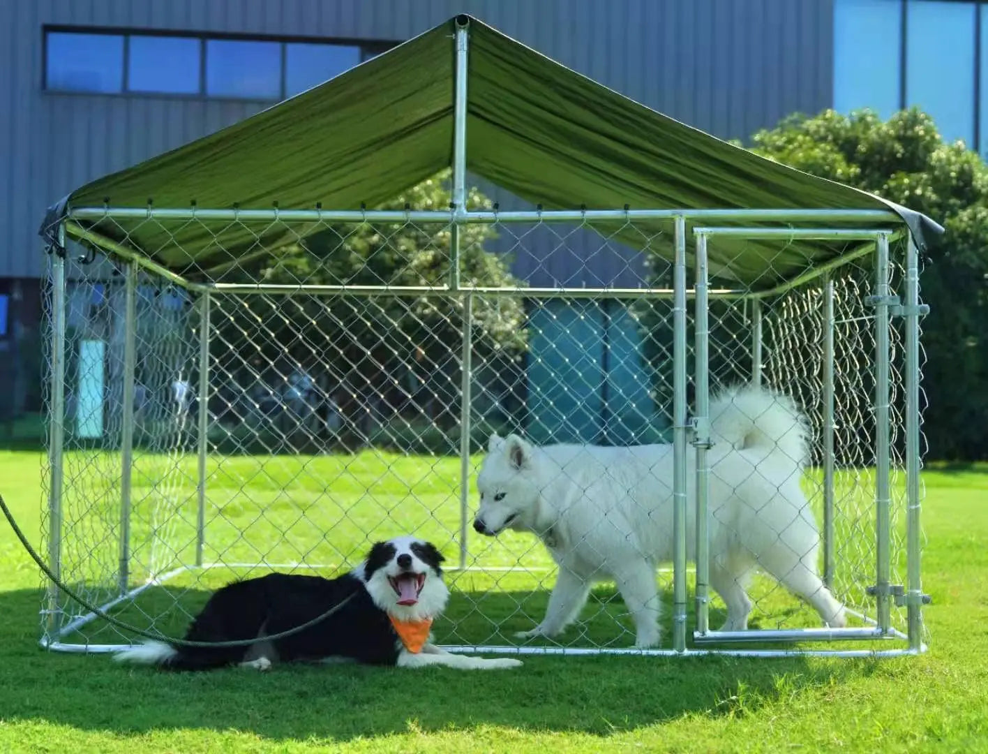 Outdoor Dog Enclosure Heavy Duty Dog Kennel House Mesh Dog Big Cage Pet Kennel Steel Fence with Secure Lock (6.56‘x, Customized
