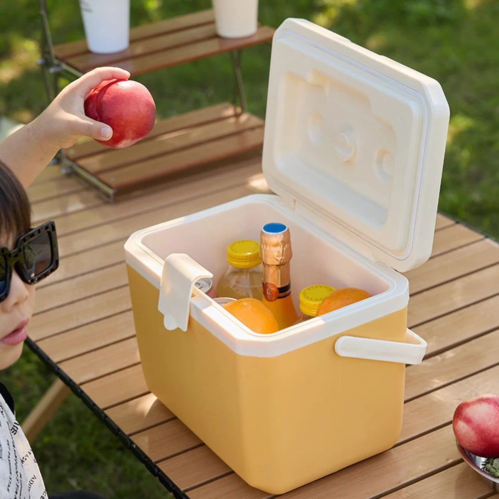 6L Insulated Portable Cooler Large Capacity Camping Car Refrigerator Wear-Resistant Mini Freezer Fridge for Beach Picnic Camping